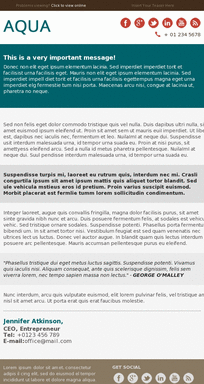 Mobile-Responsive-Aqua-email-template-Boxed-Layout-5-preview